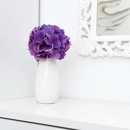 Apartman Lavanda & Rozmarin Split